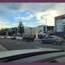 로얄펫 강아지분양 고양이분양 전주점 이미지