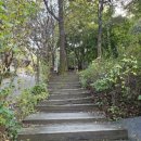 남부순환로328길 49__ 이미지