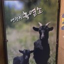 으리으리 염소탕 이미지