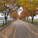 경기둘레길 김포57코스 이미지