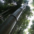 종업농장 | 담양장성 새꿈도시팸투어 돌아보기