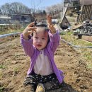 혜리농장 이미지