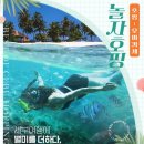 더놀자투어 이미지