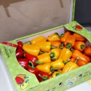 해오름농장 3 이미지