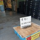 샤론꾸밈방