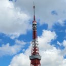 [일본 가볼만한곳] 동경 상징 ＜도쿄타워 전망대＞ 시내 구경, 에펠탑 모방 랜드마크, 수많은 영화에 등장하는, 조조지 절이 내려다 보여 이미지