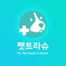 댕시락 이미지