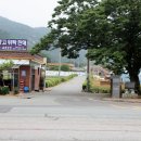 하청천 이미지