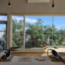 고래김밥분식&드립커피 | [제주여행] 2박3일 제주 동쪽여행 3일차. 오브젝트(최고심), 동그레(당근김밥), 홉히(융드립커피)