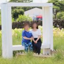 [제주도] 가도 가도 또 가고 싶은 제주