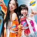 [안서희의 제약바이오] 유한양행-파마브로스, 건기식·일반의약품 공동 개발 MOU 체결 외