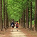 역사문화전문가 코스 이미지