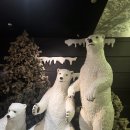 체험전시 해저탐험전 | 대구 이월드 판타와 지노의 공룡탐험전 시즌2 — 지은이랑 다녀온 솔직후기!