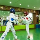 용인대석사 대하 태권도 이미지