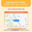 손범수달빛의원 이미지