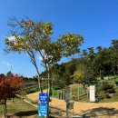 진도개패밀리 이미지