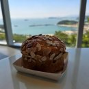 그랜드하브(GRAND HAV) | 부산가덕도 카페 4월 봄에 꼭 가봐야할장소 그랜드하브