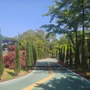 카페시래 | [대구] 달서구 월광수변공원 맛집, 산책 후 먹는 K-푸드 한식 한상 [시래한상]