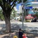 사직레포츠 | 부산 아이랑 사직동 야구장 어린이 전동차 타기! (원레포츠 자전거 전동차 대여)