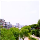 청계천 전태일 동상 동묘 벼룩시장 황학동 도깨비시장
