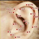 글루타플러스