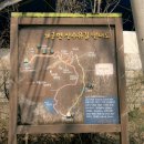 경기 양평 산수유 정보화마을 네이버블로그