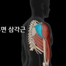 애슬레틱 서래 이미지