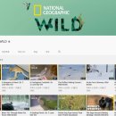 호기심과학실험 이미지