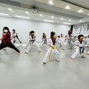 용인대 아이스타 태권도장 이미지