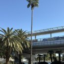 동광로1길 93-3 | [제주] 2박 3일 뚜벅이 여행 코스 추천 ｜숙소·동선·맛집 총정리