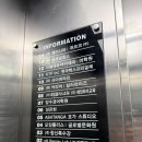 예비신부 필수코스 컬러라이즈 강남본점 1:1 웨딩컨설팅 후기 / 퍼스널컬러 진단