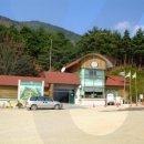 국립 칠보산자연휴양림 Daum카페