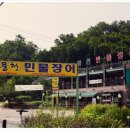 한장어 이미지
