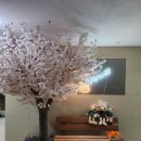 제부한빛 이미지