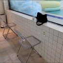 573스위밍풀 이미지