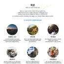 스카이시티투어 | 뉴질랜드 북섬여행 코스 신혼여행 일주일 일정 계획표 엑셀공유