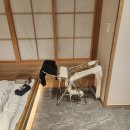 모텔젠 - 논산시 죽본길 14 | [경주 호텔 오푸스] 숙소 예약 전후 확인하면 좋은 정보들 (구비용품,입지,조식 등)