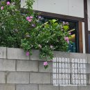 01-41 동구 이미지