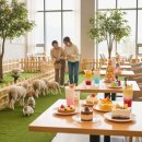 창원관광개발(주) 구미센츄리호텔 | 강릉 이색 체험 데이트 코스: 현장 실무자가 제안하는 완벽한 가이드