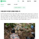 스시석