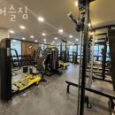 머슬짐 이미지