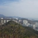 응봉초정문 이미지