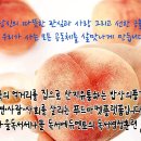 다울에듀 이미지