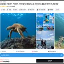하와이 투어 내돈내산 오션스타 선셋크루즈 스노쿨링 비용 후기