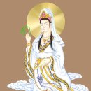 삼백도