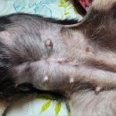 보현동물병원 이미지