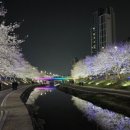 필조명 이미지