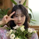 꽃스시 이미지