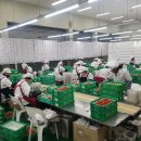 담양농업협동조합 이미지