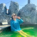 퍼스트피시카페 | 아산 온천 워터파크 갈만한곳 스파비스 물놀이 후기